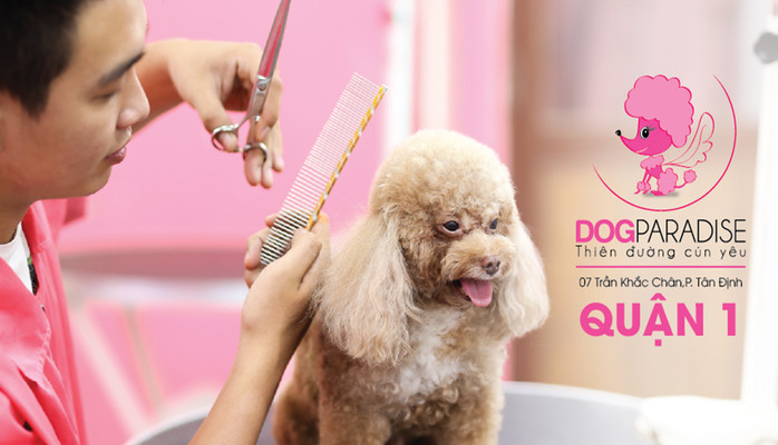 DogParadise - Cửa Hàng Thú Cưng - Trần Khắc Chân