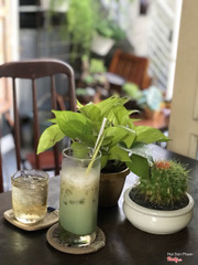 Lipton sữa bạc hà.