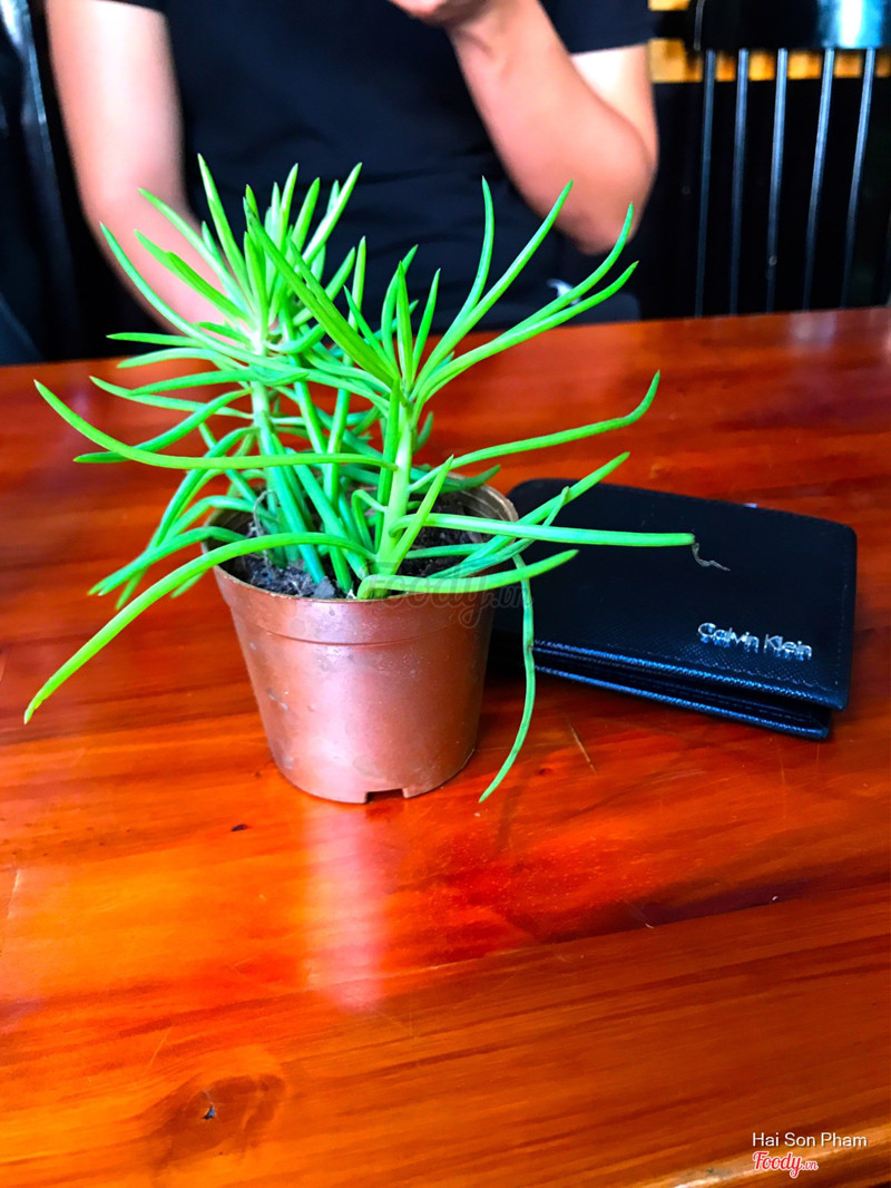 Cute phô mai que chưa!