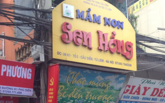 Mầm Non Sen Hồng - Phú Diễn