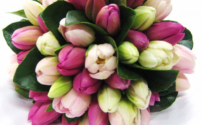 Hoa Tươi Lady - Thống Nhất