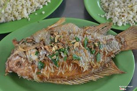 Cá điêu hồng chiên xù giòn tan, chắm với mắm ngò là hết ý