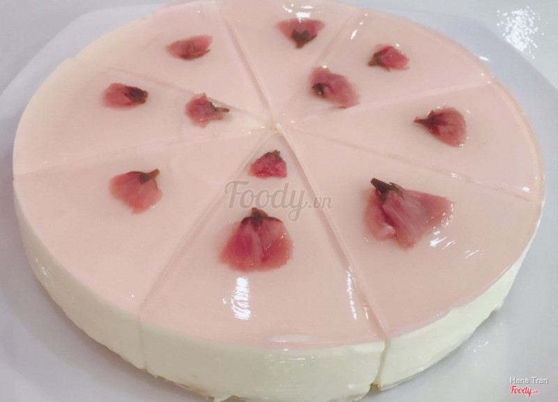 Cheese cake sakura