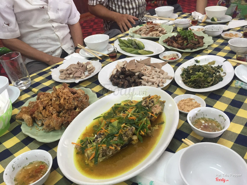 Lợn rừng các món,cá sông Đà,gà rang muối,rau thập cẩm xào.Món nào cũng hài lòng.