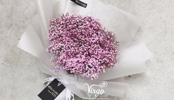 Virgo Flower - Thế Giới Hoa Baby