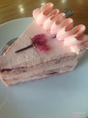 Sakura shortcake 