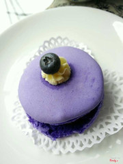 Blueberry Macaron