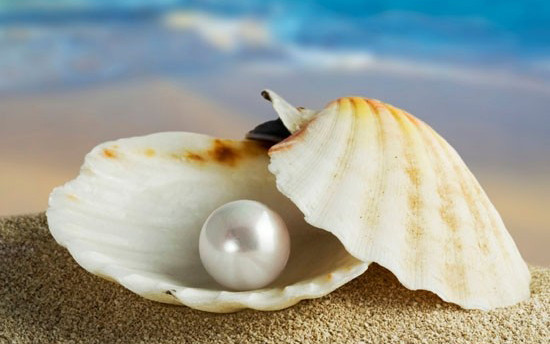 Ngọc Trai Spa - Tông Đản