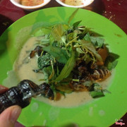 ốc len