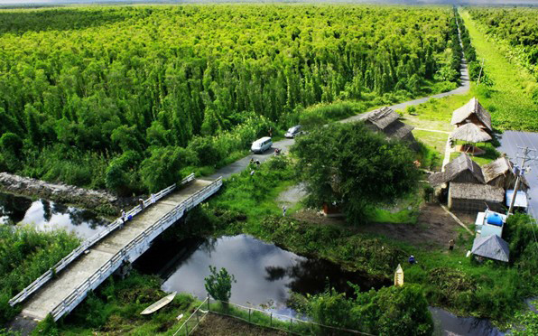 Vườn Quốc Gia U Minh Hạ