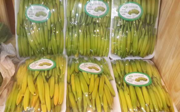 Trái Cây Nhập Khẩu