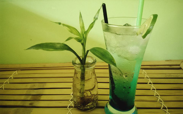 Fancy - Sinh Tố & Soda