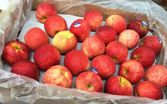 Fruit Saigon Store - Trái Cây Nhập Khẩu