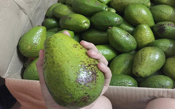 Gùi - Trái Cây Buôn Làng