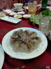 Tôm sống