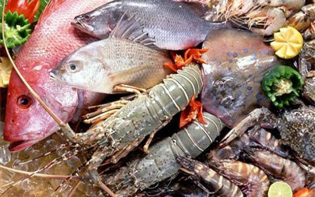 Thuỷ Ngãi - Hải Sản Tươi Sống