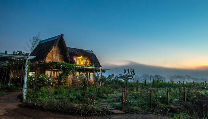 Bình Yên House - Homestay