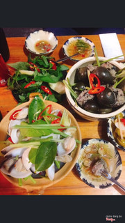 Ngao mập, không bị cát