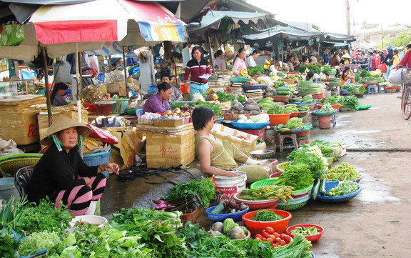 Chợ Đầu Mối Phía Nam