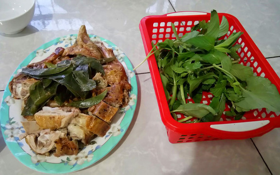 Phương Thảo - Vịt Cỏ Vân Đình