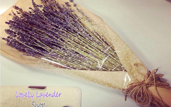 Lovely Lavender Shop - Hoa Lavender Khô