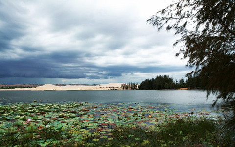 Du lịch Phan Thiết giá bình dân - Eat & see