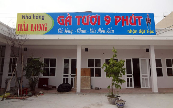 Hải Long - Gà Tươi 9 Phút