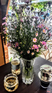 Có ai đã từng nghe truyền thuyết về hoa thạch thảo chưa????