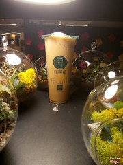 Trà sữa pudding vị đường tiger