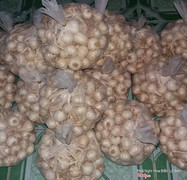 Tỏi làm giúp khách