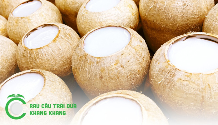 Rau Câu Trái Dừa Khang Khang - Ăn Vặt, Tráng Miệng - Trần Thị Trọng