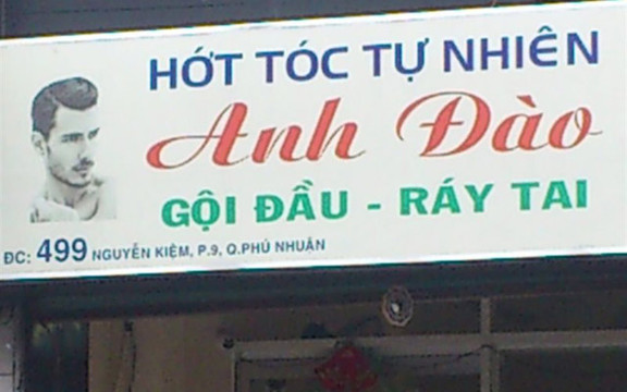 Hớt Tóc Anh Đào - Nguyễn Kiệm