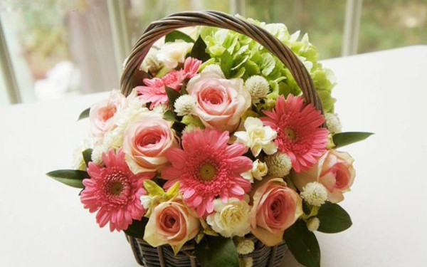 Dũng Thương - Hoa Cưới, Hoa Hội Nghị