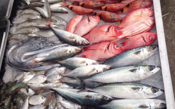 Hải Sản Miền Trung