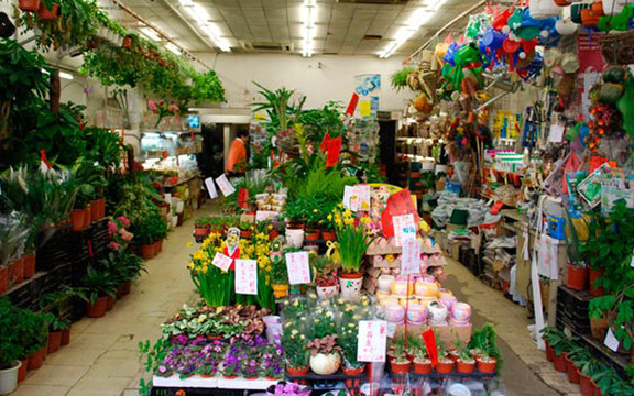 Mong Kok Flower Market