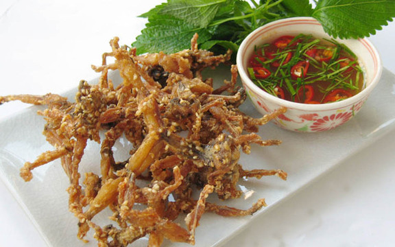 Gold Beer - Đặc Sản 3 Miền 