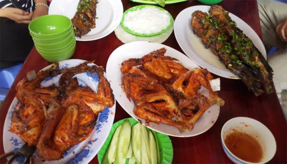 Gà Chỉ Phấn Thoa