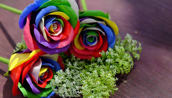 Florería Symphony - Hoa Đất Sét