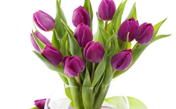 Hoa & Quà Flora - Trần Huy Liệu