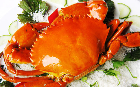 Hải Sản Út Hiền