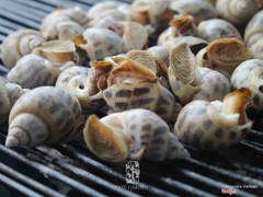 Địa điểm tiệc nướng BBQ dã ngoại treegarden.vn