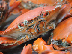 Địa điểm tiệc nướng BBQ dã ngoại treegarden.vn