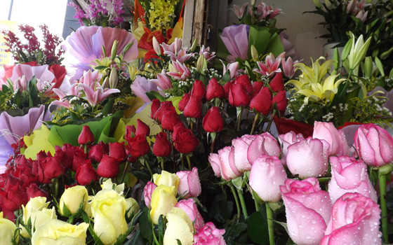 Kim Cúc - Hoa Tươi Nghệ Thuật