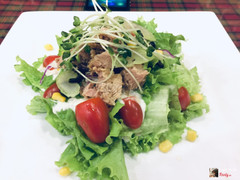 Salad cá ngừ