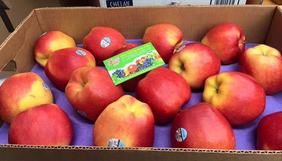 Shop Fruit 99 - Trái Cây Nhập Khẩu