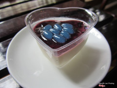 Panna Cotta Việt quất