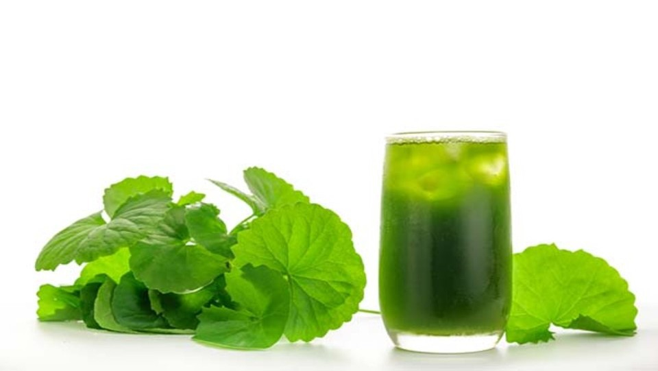 C Plus - Rau Má Juice Detox - Xã Đàn ở Quận Đống Đa, Hà Nội | Foody.vn