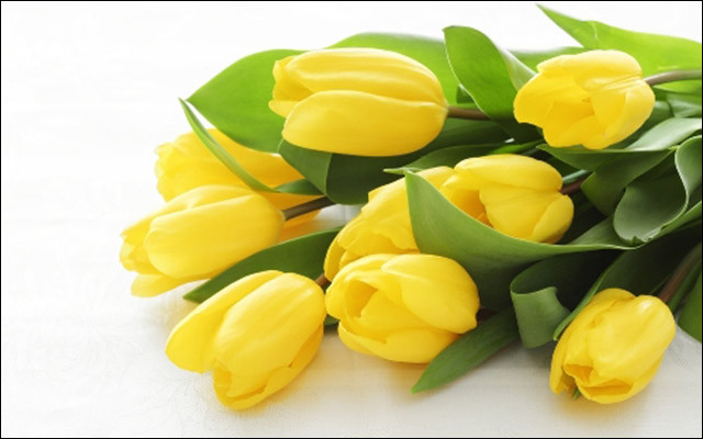 Hoa Tươi Sài Gòn - Nguyễn Kiệm