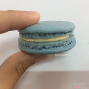 Macaron