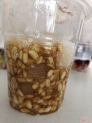 Chè bưởi của quán 